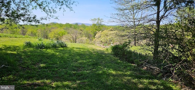 view of local wilderness with a view of trees