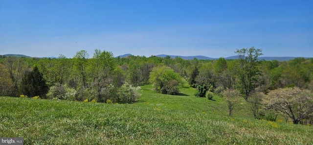 view of landscape featuring a forest view