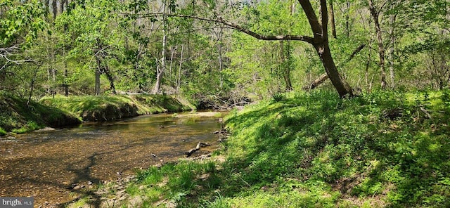 view of landscape featuring a view of trees