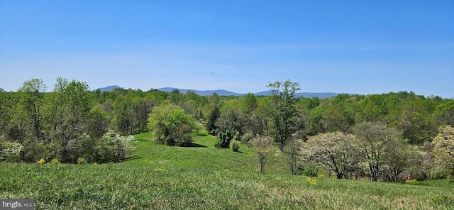 view of nature with a forest view