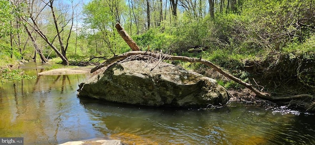 view of water feature