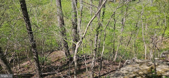view of local wilderness featuring a wooded view