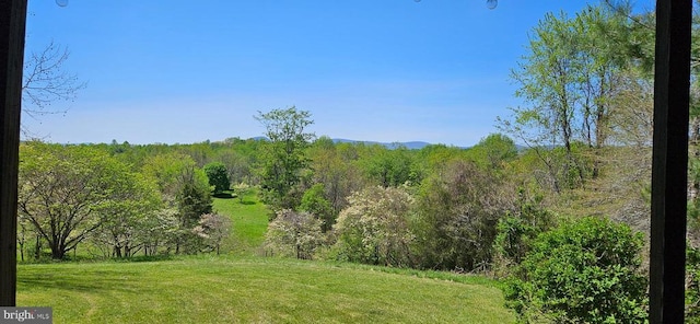 view of landscape featuring a wooded view