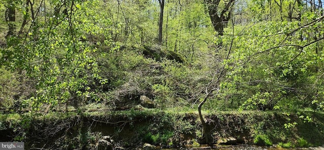 view of landscape featuring a wooded view