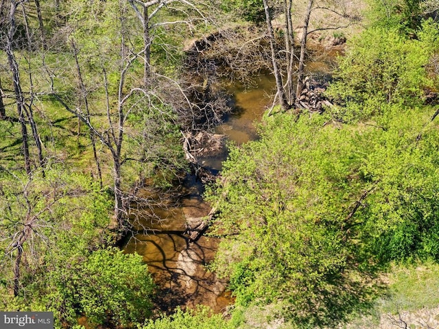 view of nature