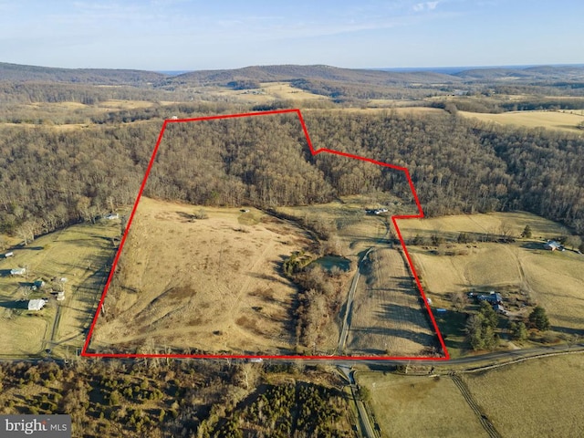 birds eye view of property featuring a forest view and a rural view