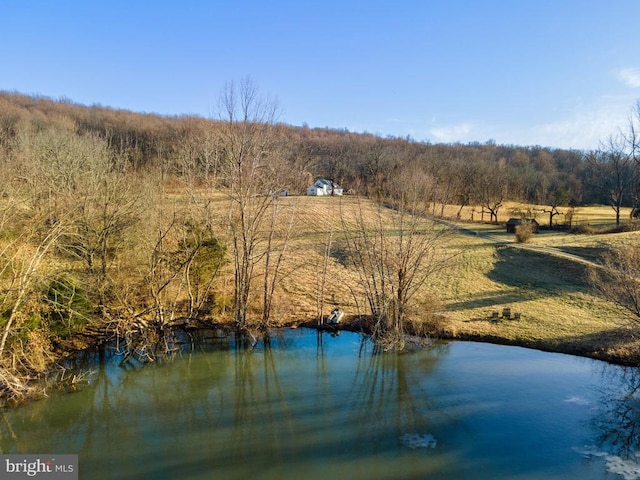 view of water feature with a rural view and a view of trees