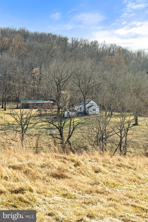 view of local wilderness with a forest view