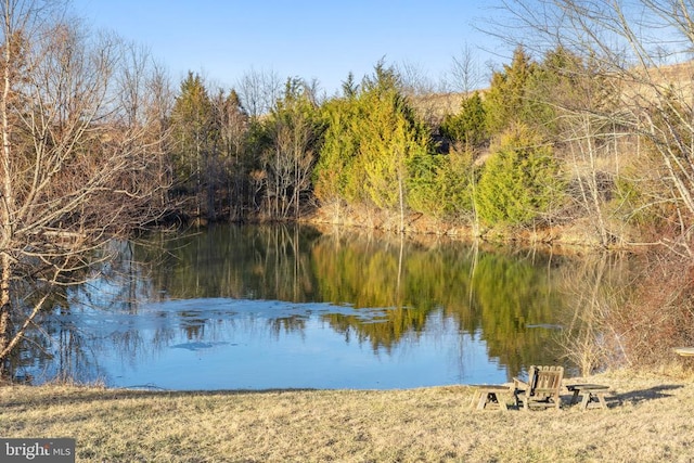 water view with a wooded view