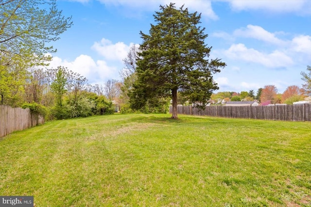 view of yard featuring fence