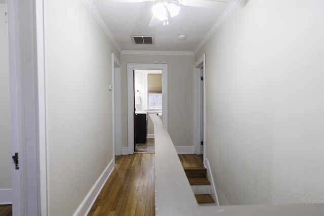 corridor featuring crown molding and dark wood-type flooring