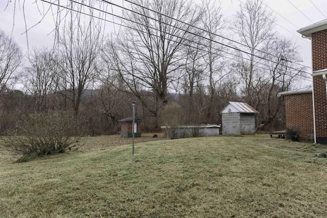 view of yard with a storage shed