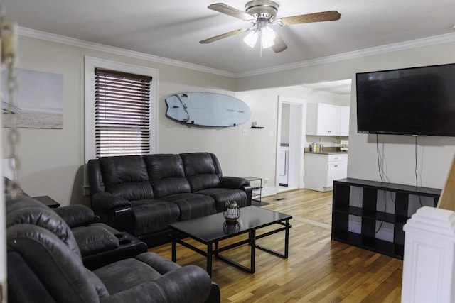 living room featuring crown molding, ceiling fan, and light hardwood / wood-style flooring