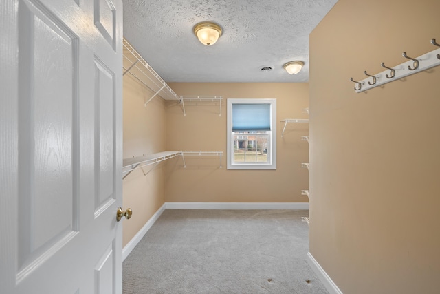 walk in closet with carpet flooring