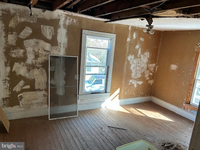 miscellaneous room featuring hardwood / wood-style flooring