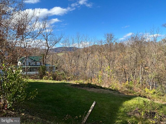 view of yard with a mountain view