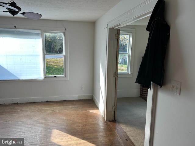 spare room featuring ceiling fan, light hardwood / wood-style floors, and a textured ceiling