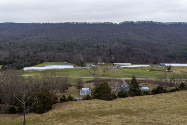 view of mountain feature