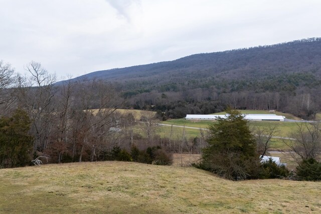 view of mountain feature