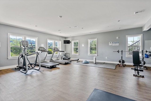 workout area featuring a healthy amount of sunlight and wood-type flooring