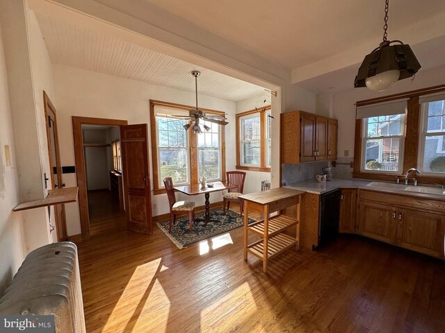 kitchen featuring dishwasher, radiator, wood finished floors, and a sink