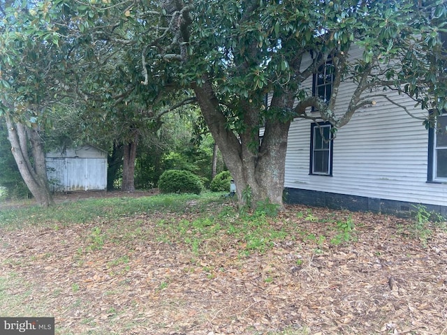 view of yard featuring a shed