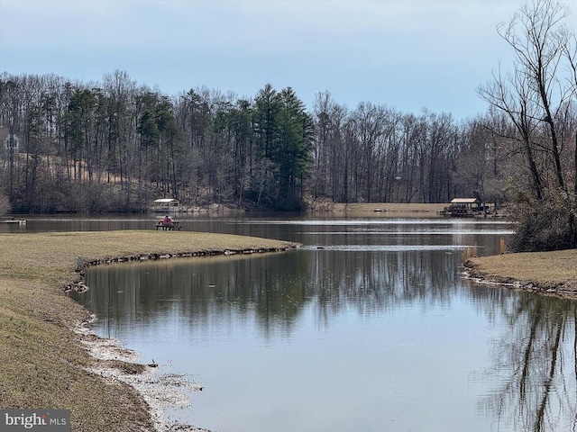 property view of water featuring a view of trees