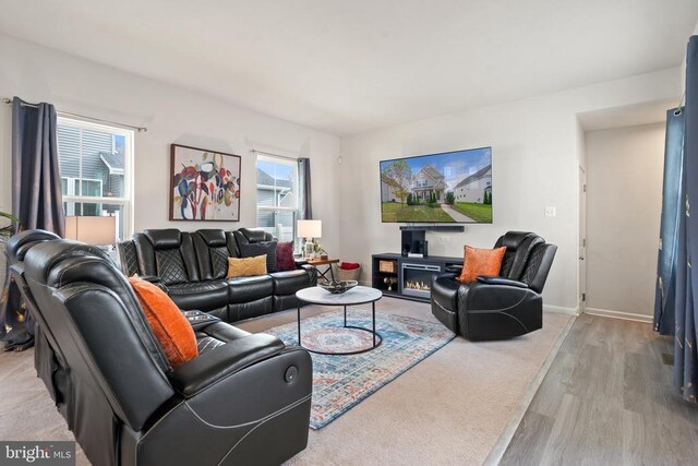 living room with light hardwood / wood-style flooring