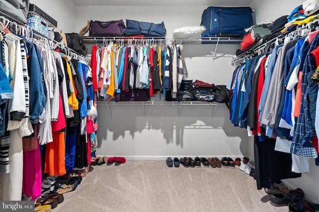 spacious closet with carpet flooring