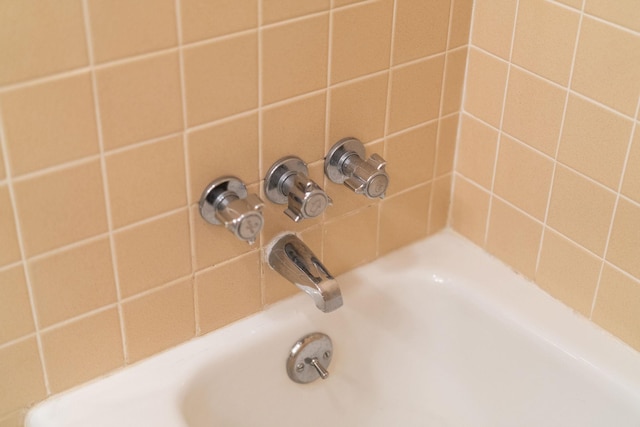 interior details with a bathtub and a shower