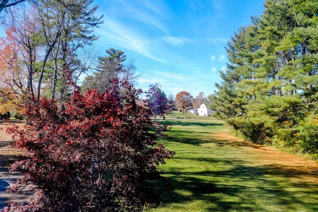 view of home's community with a yard