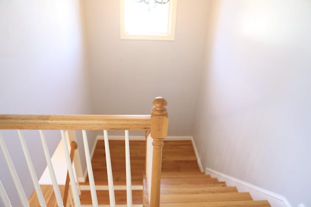 stairs with baseboards and wood finished floors