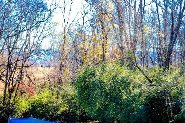 view of local wilderness with a wooded view