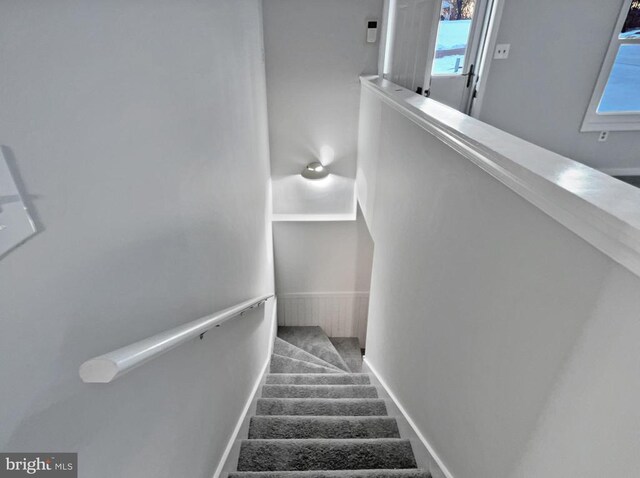 stairway featuring carpet floors