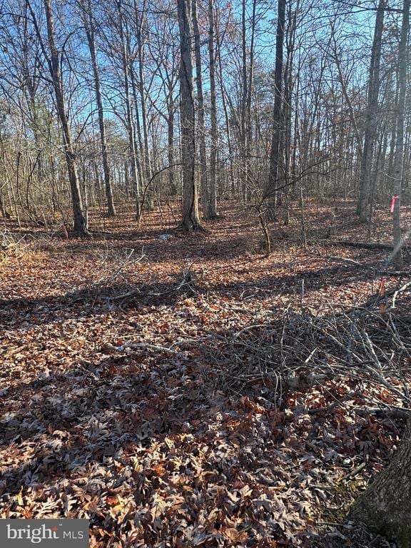 0 Cox Mill Rd, Gordonsville VA, 22942 land for sale