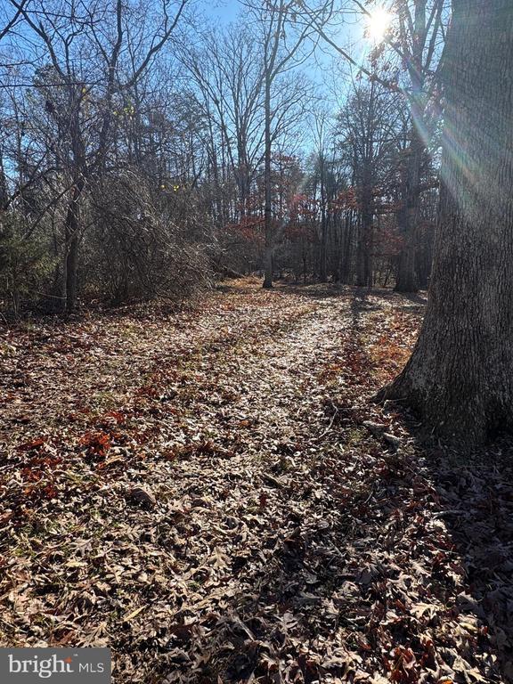 Listing photo 2 for 0 Cox Mill Rd, Gordonsville VA 22942