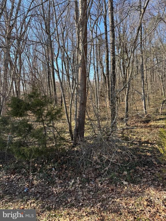 Listing photo 3 for 0 Zachary Taylor Hwy, Unionville VA 22567