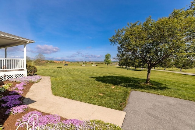 view of yard