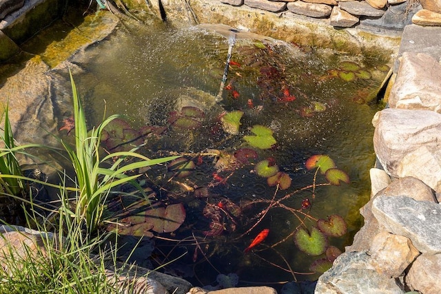 details with a small pond