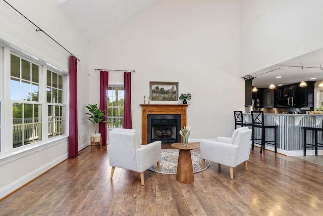 living room with baseboards, a fireplace, wood finished floors, and high vaulted ceiling