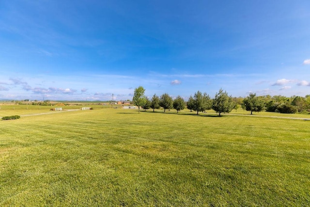 view of yard with a rural view