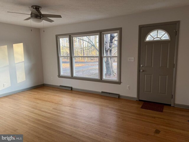 foyer with plenty of natural light, light hardwood / wood-style floors, and a textured ceiling