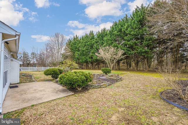 view of yard featuring a patio