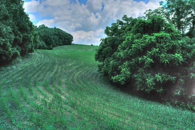 view of landscape featuring a rural view