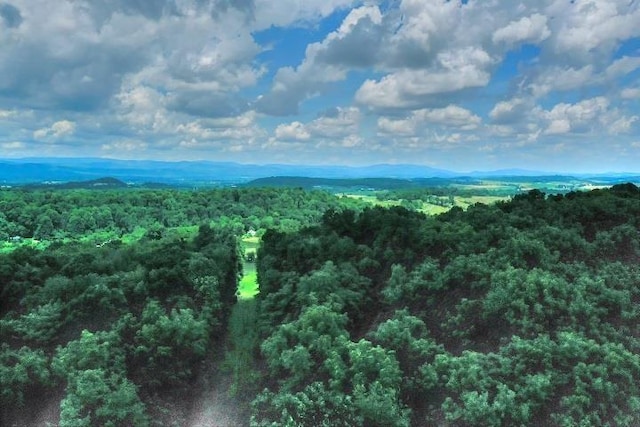 birds eye view of property with a forest view