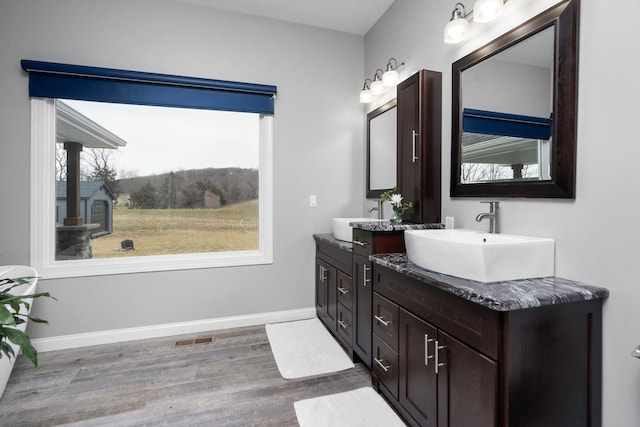 bathroom with vanity and hardwood / wood-style flooring