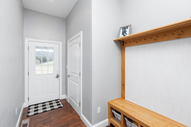 mudroom with dark wood-type flooring