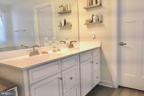 full bathroom featuring double vanity, wood finished floors, and a sink