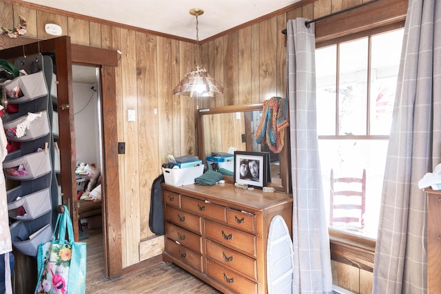 interior space featuring wooden walls, multiple windows, and light wood-style floors