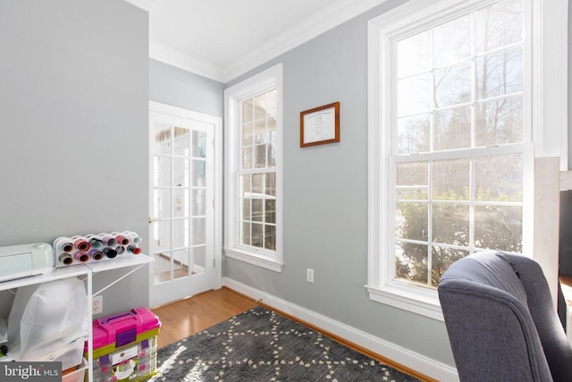 recreation room featuring crown molding and wood-type flooring